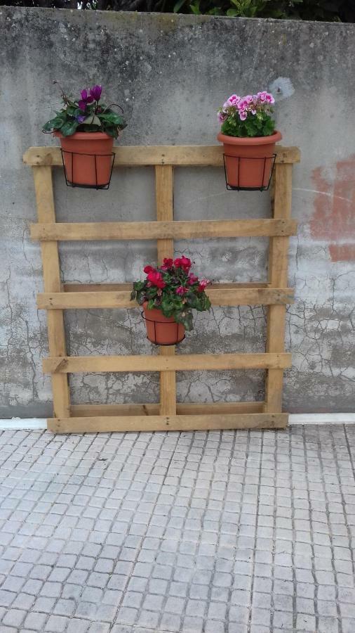 فندق Alojamento Santa Catarina ألينكوير المظهر الخارجي الصورة